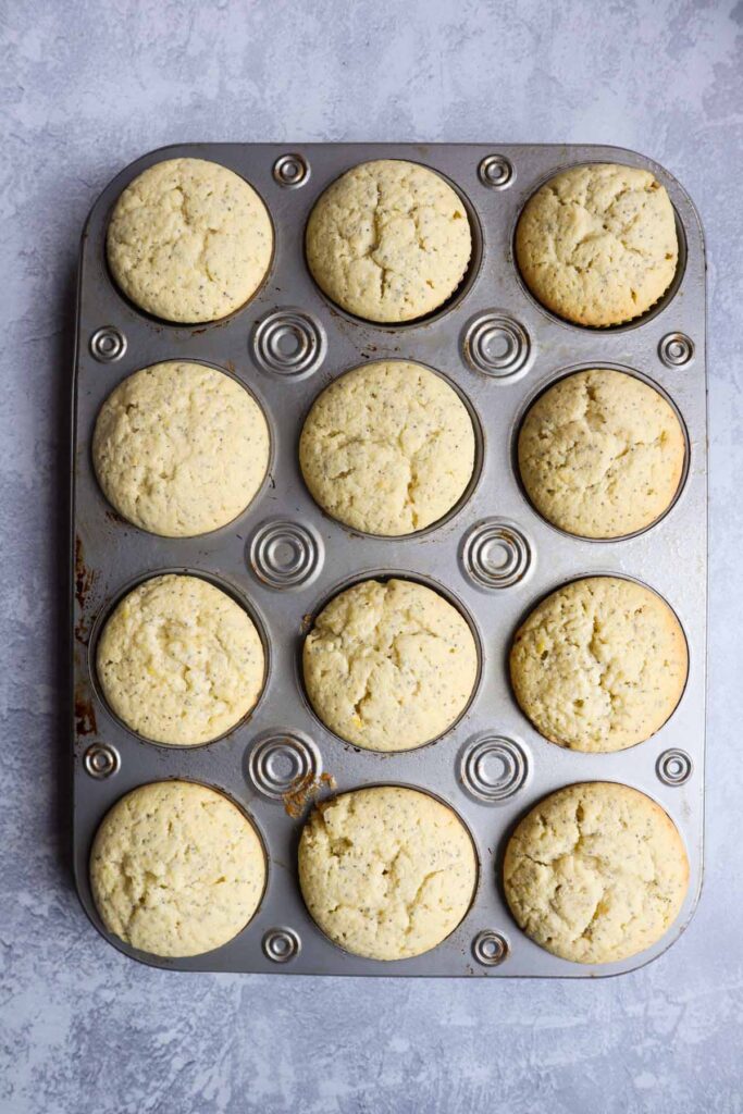 cupcake pan with 12 cooked lemon poppyseed cupcakes
