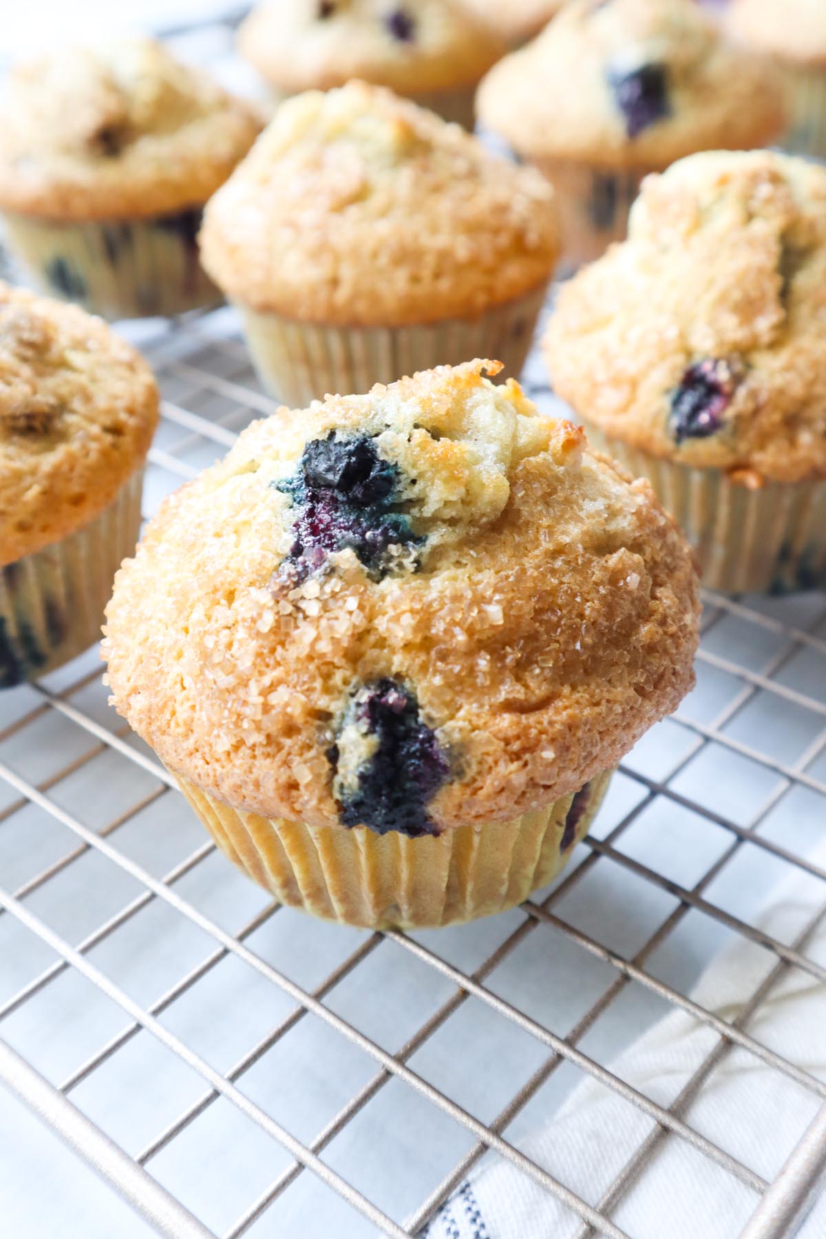 fresh baked blueberry chocolate chip muffins on a wire rack