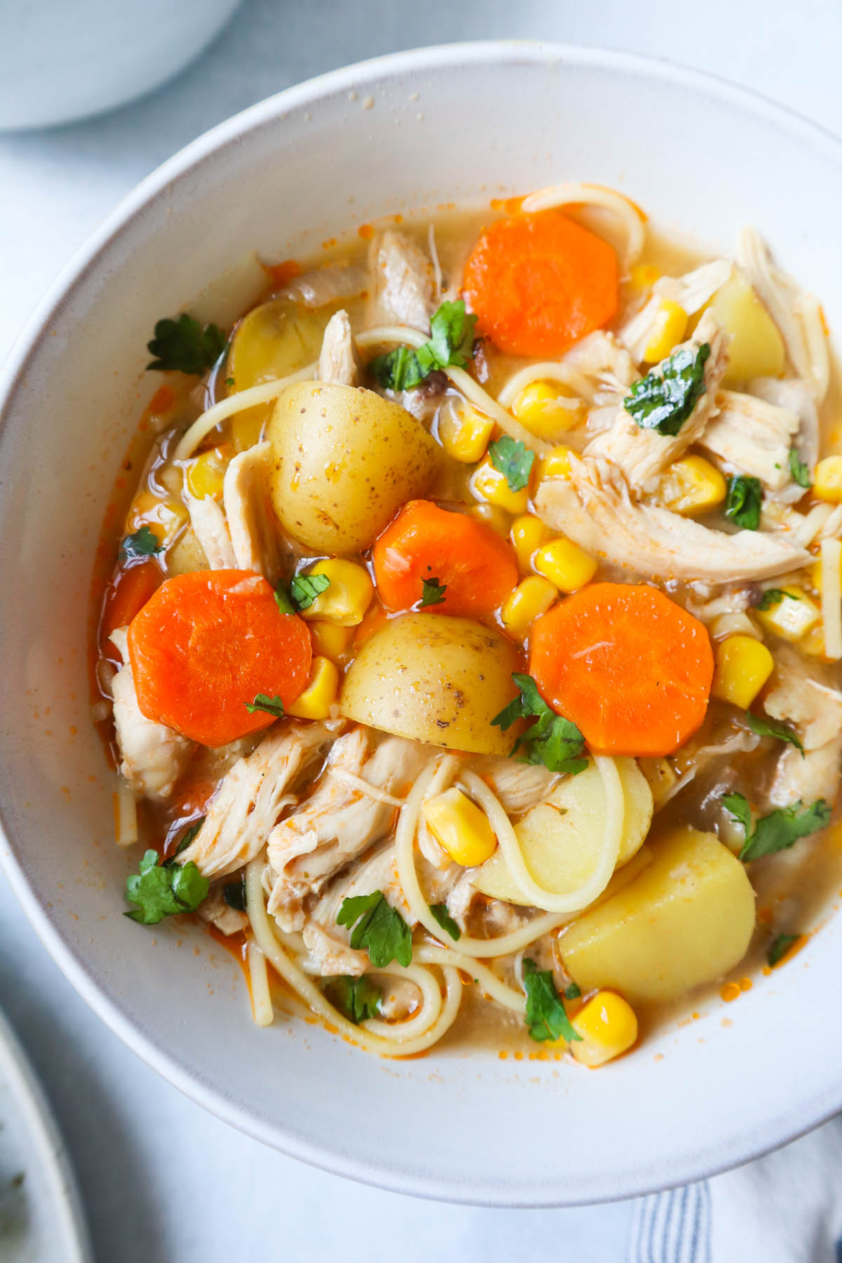 white bowl with chicken soup with vegetables, chicken, and parsley